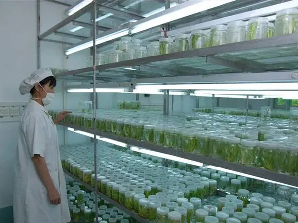 91香蕉APP下载室设计厂家