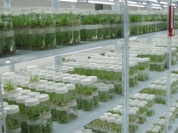 91香蕉APP下载室设计 91香蕉APP下载室设计