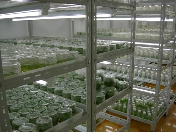 91香蕉APP下载室设计厂家 91香蕉APP下载室设计厂家