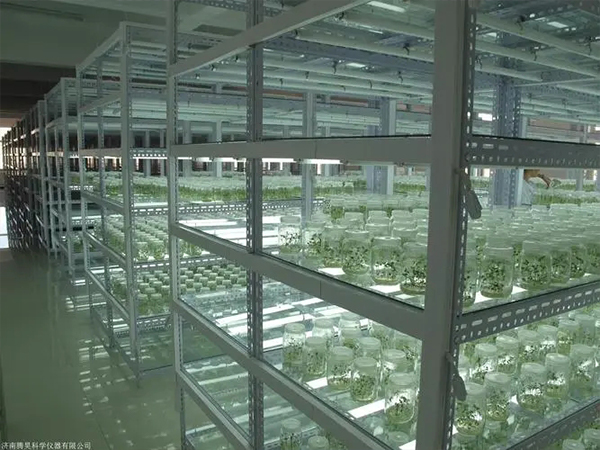 91香蕉APP下载室设计建设厂家