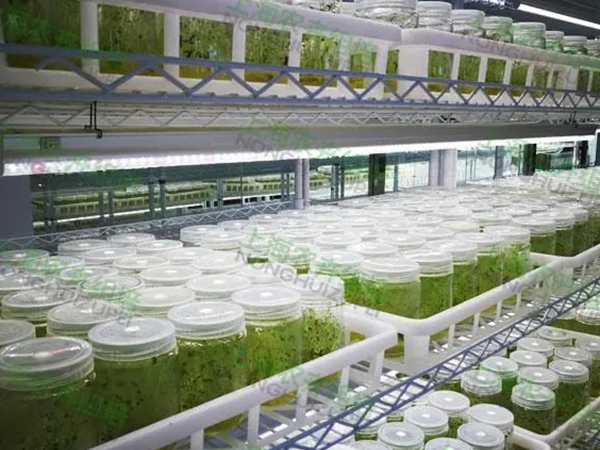 91香蕉APP下载室设计建设公司 91香蕉APP下载室设计建设公司