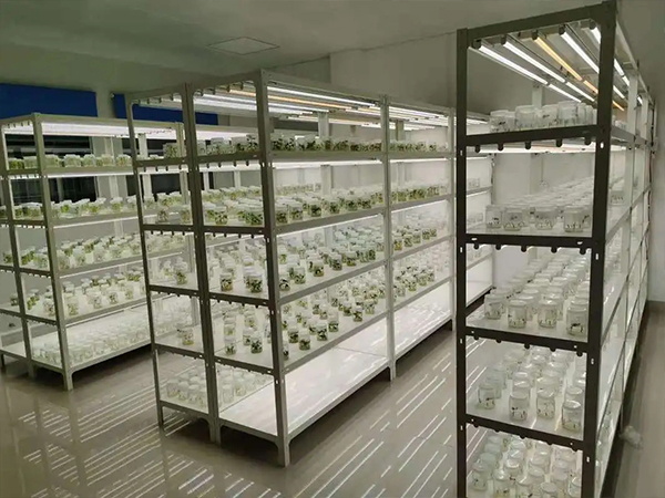 91香蕉APP下载室设计