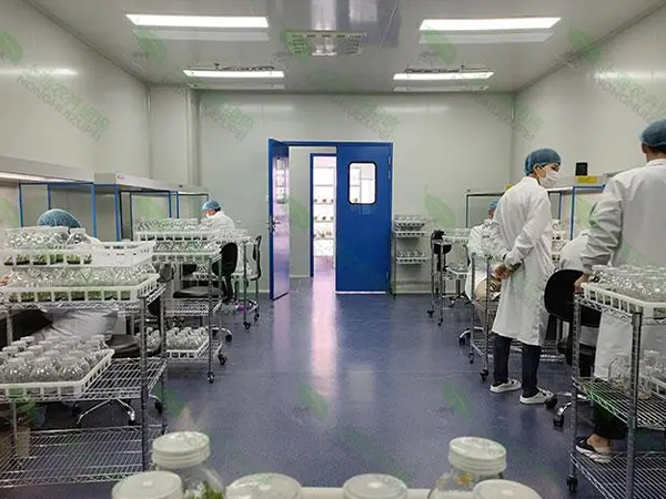 91香蕉APP下载设计建设公司.jpg 91香蕉APP下载设计建设公司.jpg