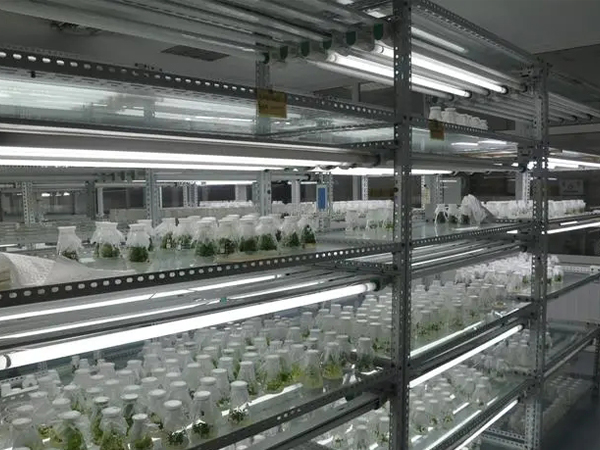 91香蕉APP下载室设计建设 91香蕉APP下载室设计建设