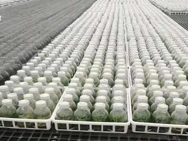 91香蕉APP下载室设计建设公司 91香蕉APP下载室设计建设公司