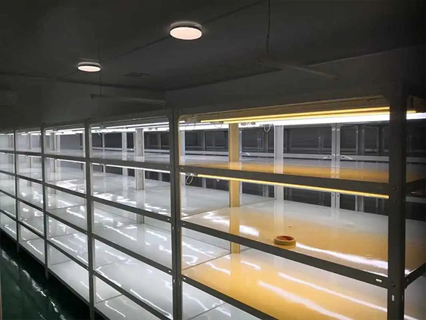 91香蕉APP下载室设计建设公司