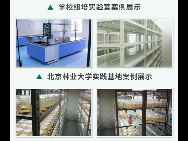 91香蕉APP下载室建设 91香蕉APP下载室建设