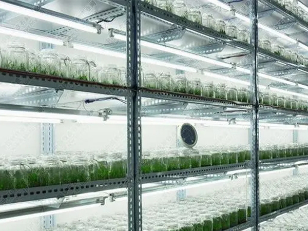 91香蕉APP下载室设计 91香蕉APP下载室设计