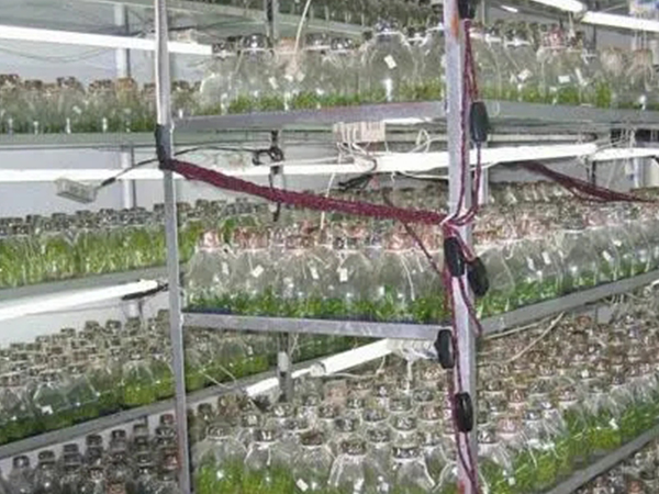 91香蕉APP下载室设计公司 91香蕉APP下载室设计公司