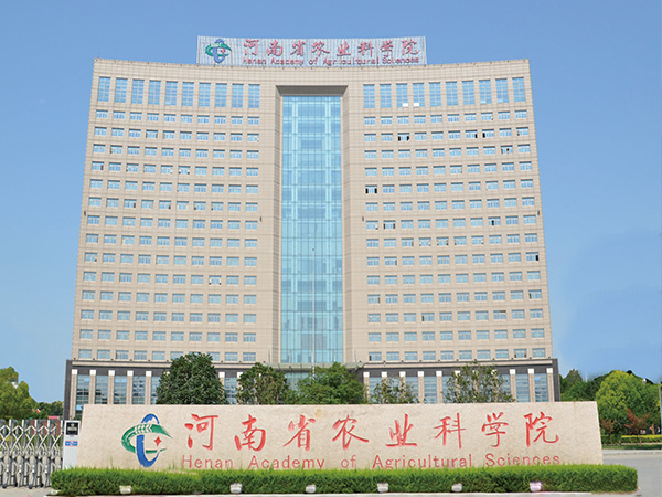 91香蕉APP下载设计