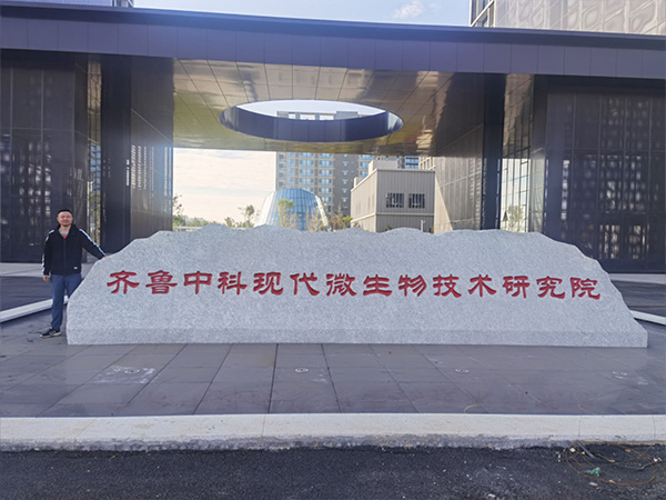 91香蕉APP下载设计