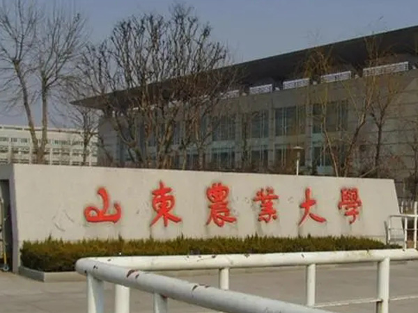 91香蕉APP下载