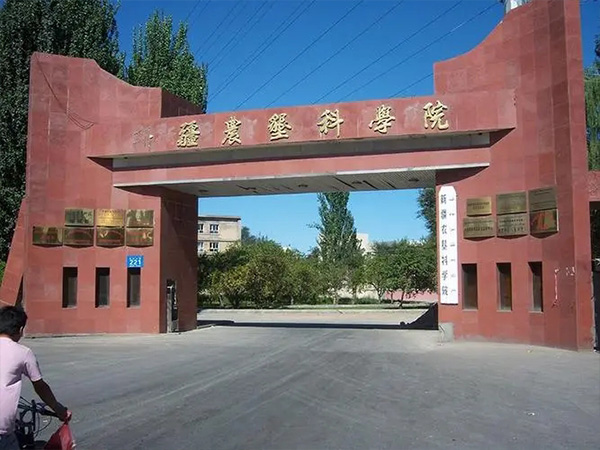 91香蕉APP下载设计