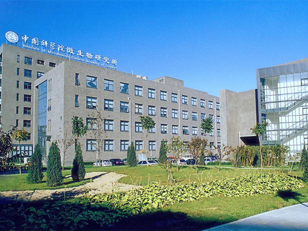 91香蕉APP下载建设