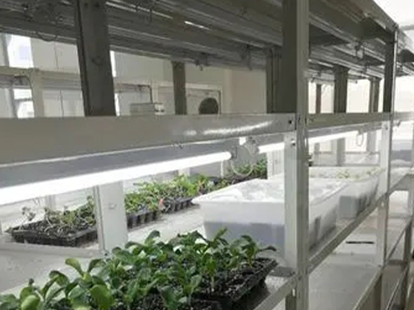 91香蕉APP下载室设计公司 91香蕉APP下载室设计公司