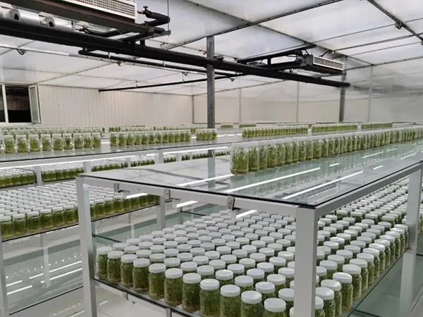 91香蕉APP下载架哪家好?91香蕉视频在线观看污公司设备有优势?