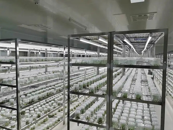 91香蕉APP下载架厂家 91香蕉APP下载架厂家