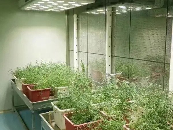 91香蕉APP下载室设计 91香蕉APP下载室设计